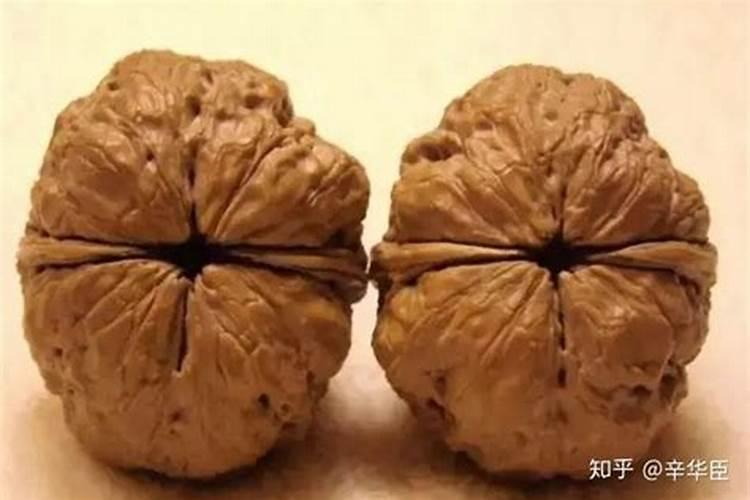 核桃树结的果小是缺什么