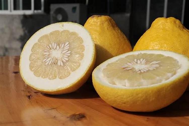 柚子缺镁症防治方法