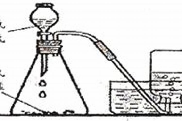 茄子开花结果期施什么肥 施肥技巧有哪些