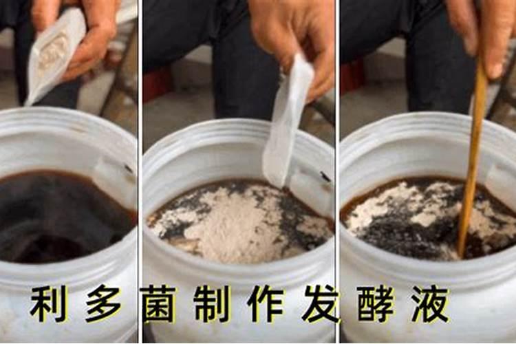 黄豆怎么做肥料