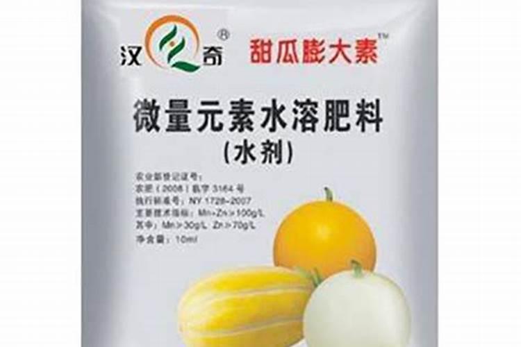 大棚厚皮甜瓜顶端裂缝是怎么回事？该如何进行治疗？