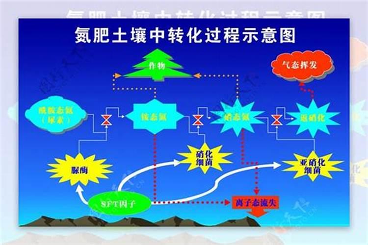 种植氮肥怎么转化