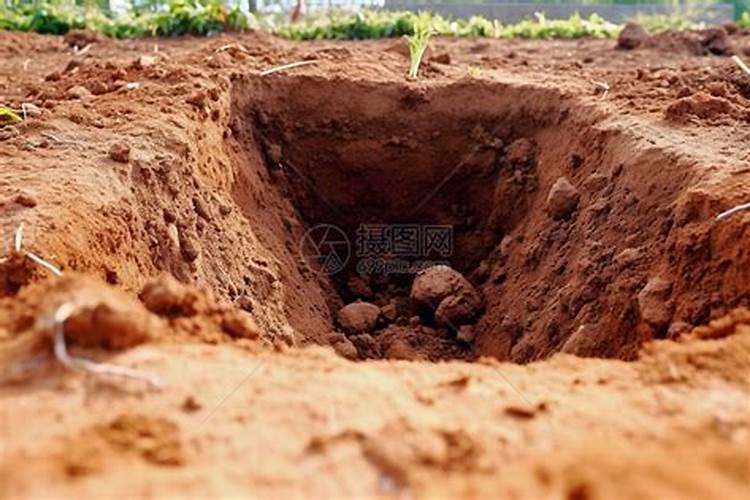 施肥挖坑埋和直接铺在土表面效果有很大差别吗？