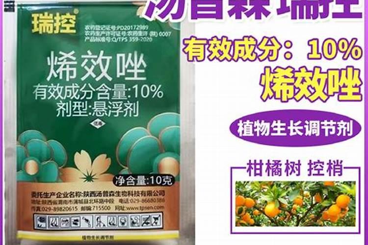 叶面肥什么时候打效果好