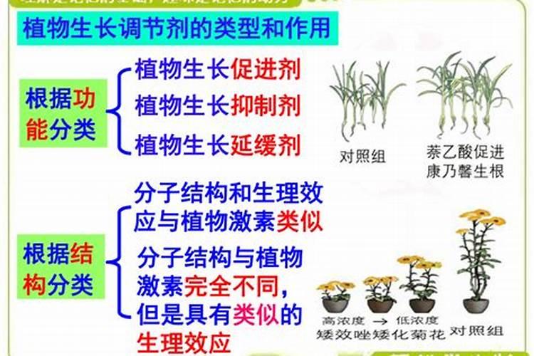 土豆喷施什么肥料好？土豆用什么叶面肥好？