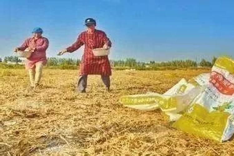 钾肥不能和什么混用