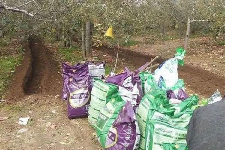 含钾最高的肥料有哪几种