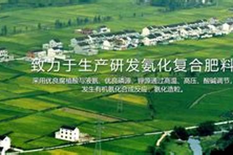 复合肥哪个品牌复合肥最好