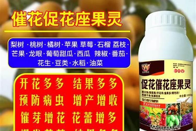 在果树上如何施用钙肥