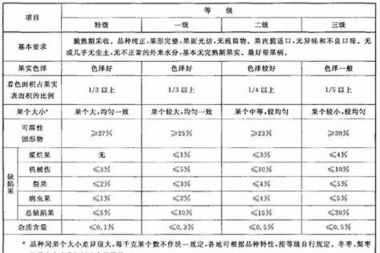 鲜枣的营养价值