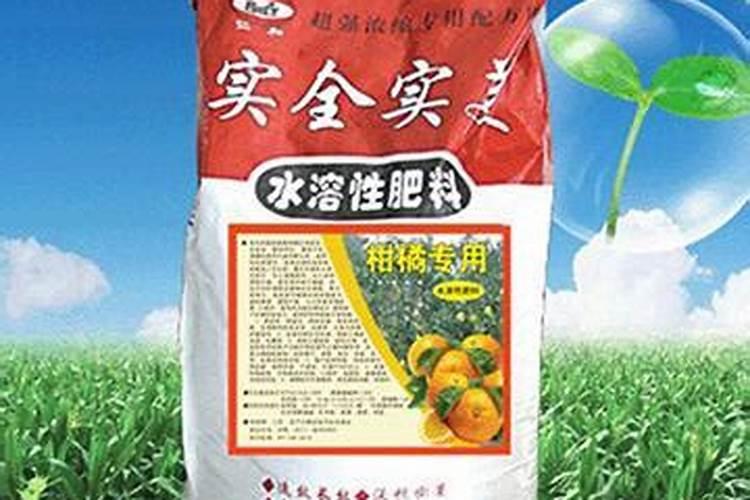 硼肥什么时候施肥最好