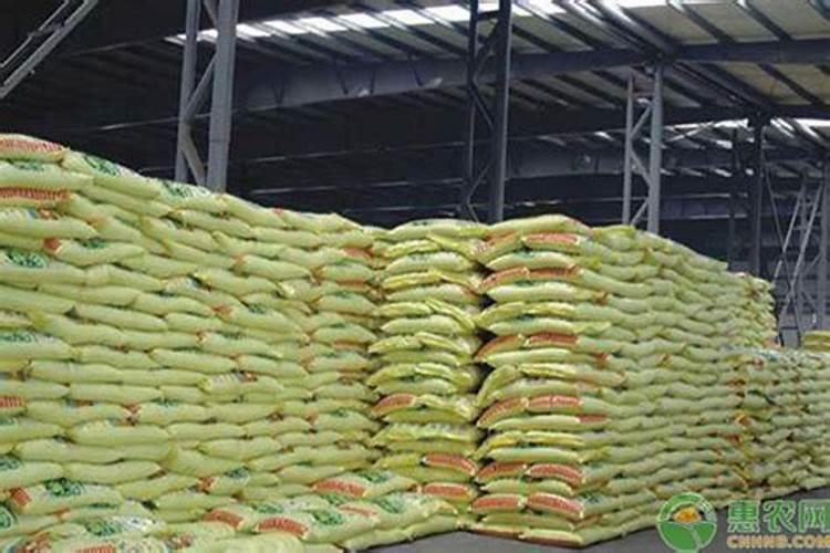 香椿需要什么肥料