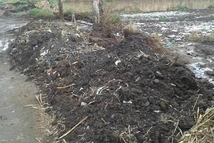 羊粪属于氮肥还是磷肥