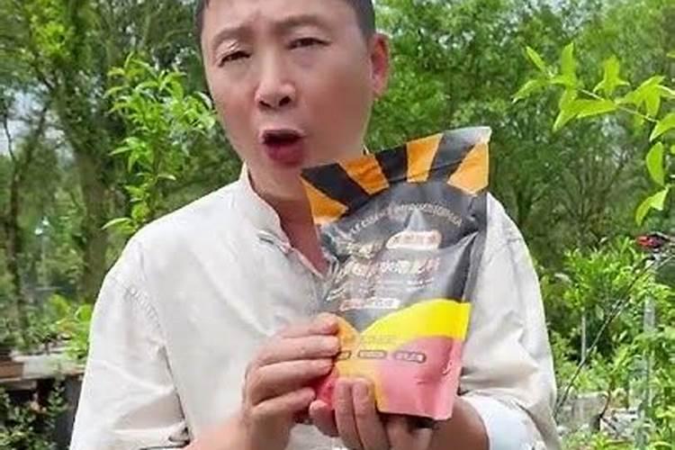 金弹子秋季施什么肥