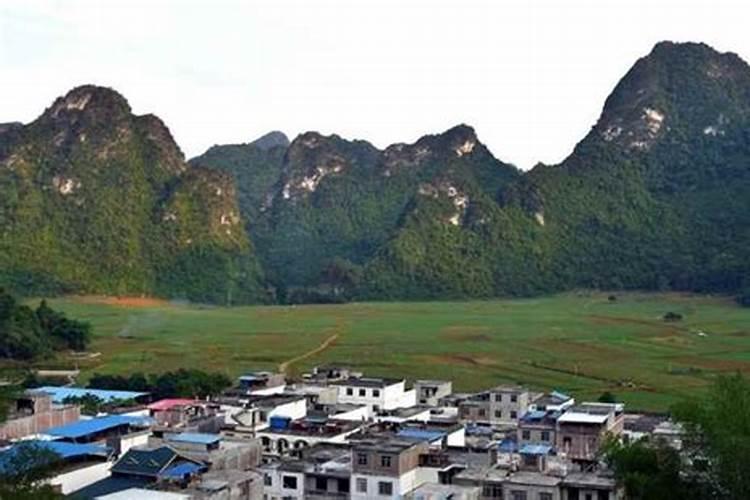 矿源黄腐酸钾最适合哪些果树