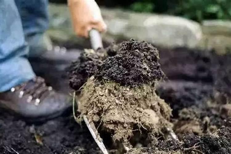 秋葵用什么肥料追肥最好