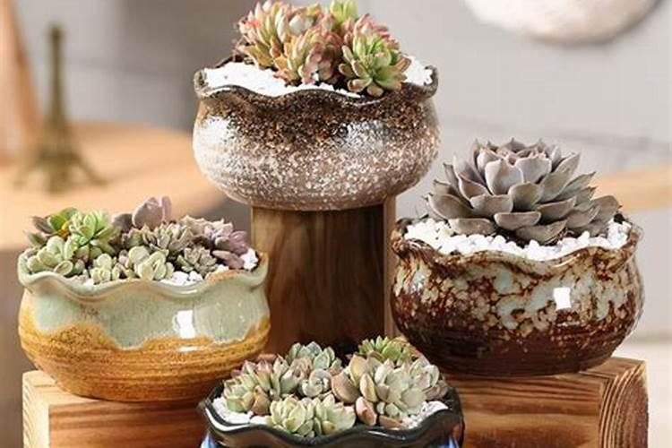 西兰花管理要点