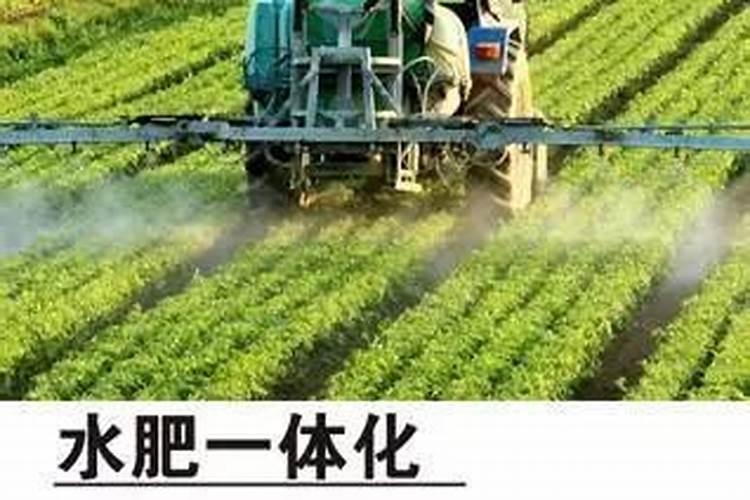 特种肥料和其它肥料有什么区别？