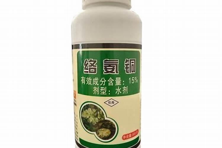 丝瓜茎基腐病用什么药