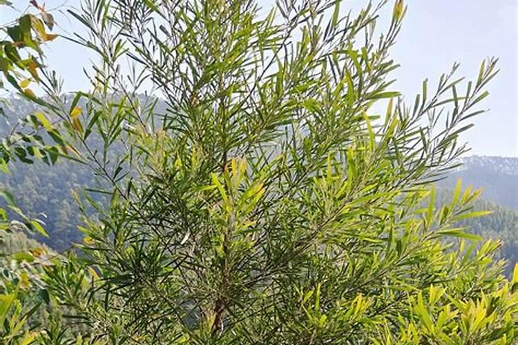 复合肥高氯中氯低氯的区别