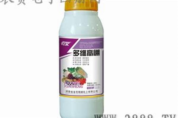 三角梅什么时施肥