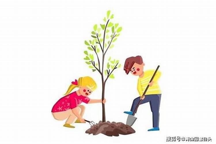 二月可以种植什么蔬菜