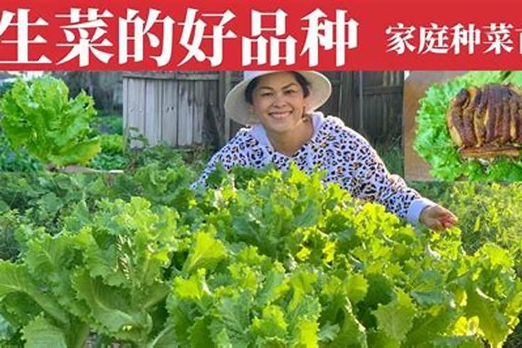 二月兰养殖时需要注意什么？