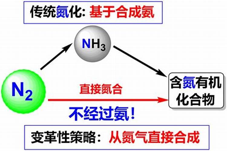 怎样检验铵态氮肥