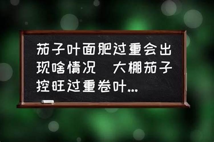 茄子用什么肥料高产 茄子施肥的注意事项