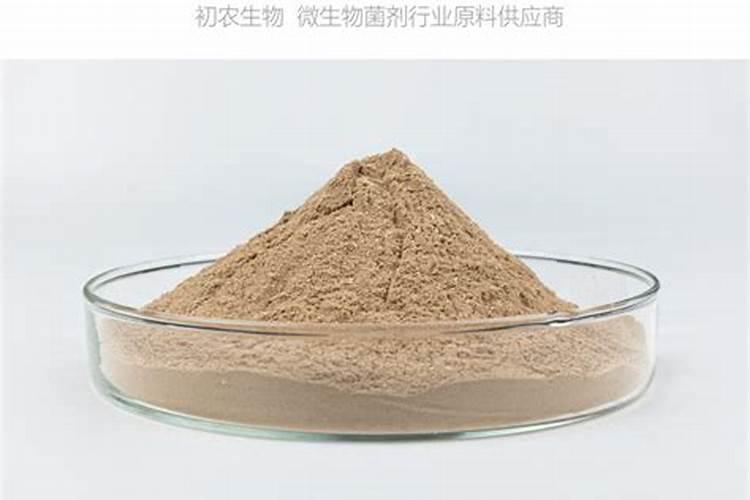 大葱增收高产怎么施肥？用什么肥效果好