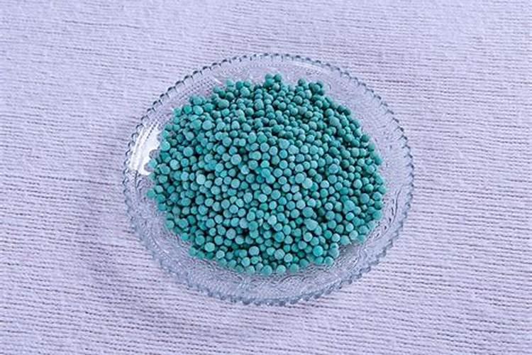 西红柿用什么肥料最好