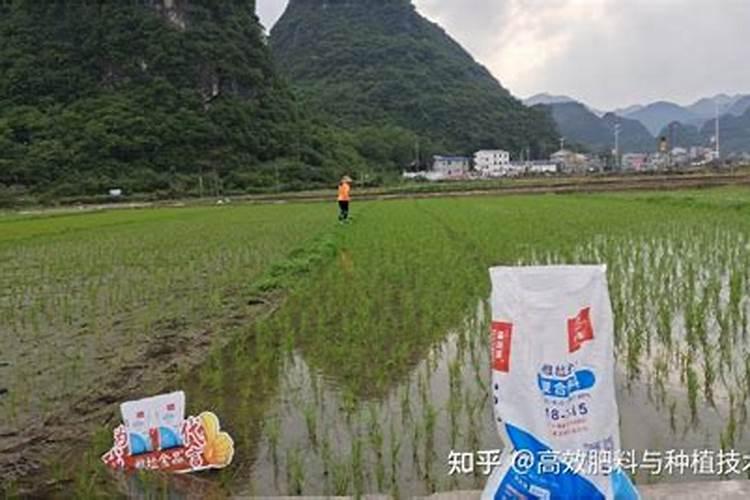 尿素可以做花肥吗