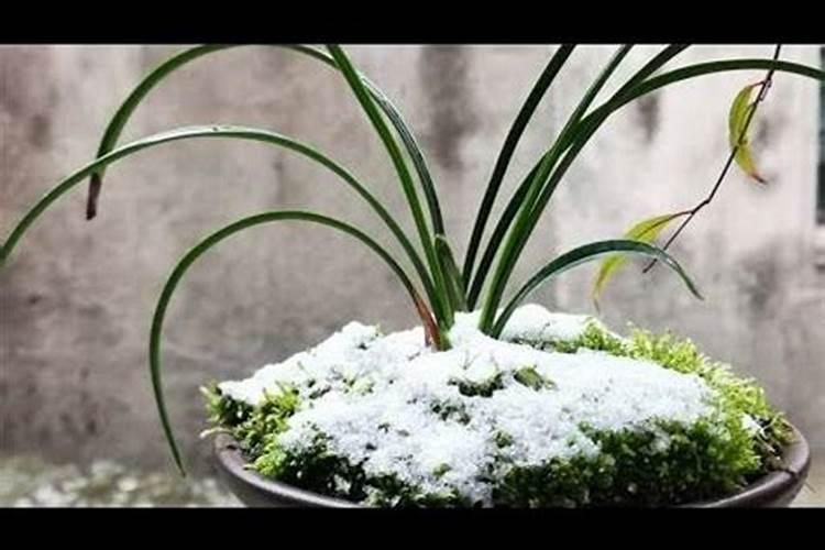 谁与？独旦什么意思