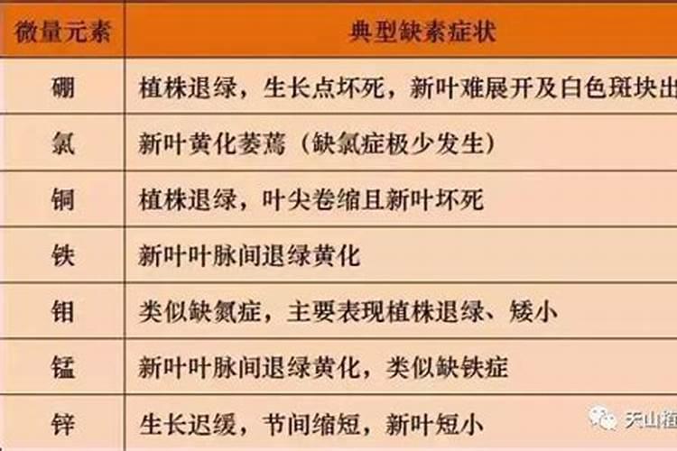 浇花用的肥料怎么区分磷肥氮肥钾肥