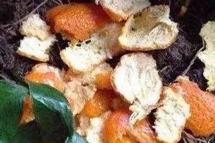 都习惯花盆里放桔子皮,如果霉变怎么办？