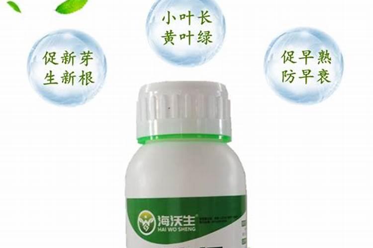 果树叶面肥用什么较好？