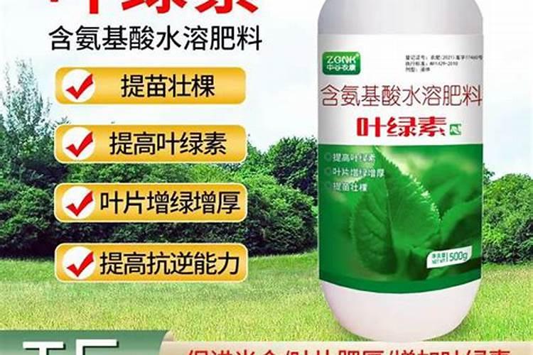 辣椒座果期冲施什么肥料好？辣椒膨果期用什么水溶肥好？
