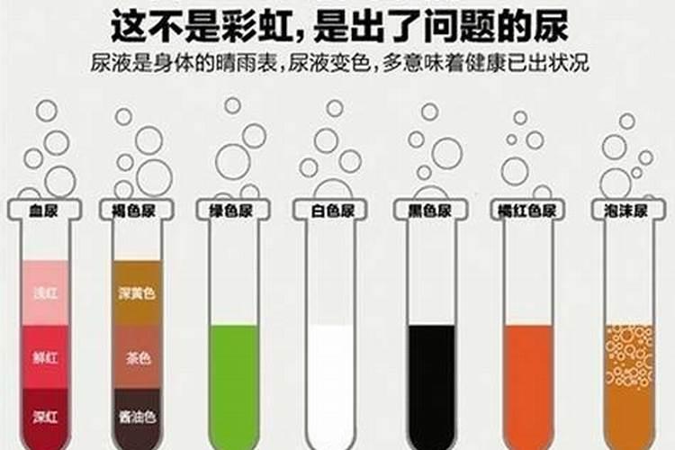 要是自制鱼蛋白时冒出氨气要怎么解决