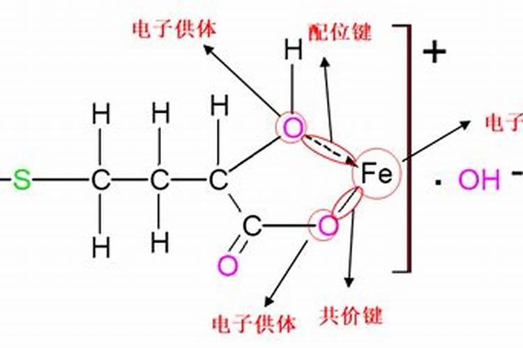 大量元素和微量元素的划分依据