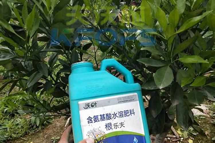 √生根壮苗微生物有机肥裁红薯苗怎么用？