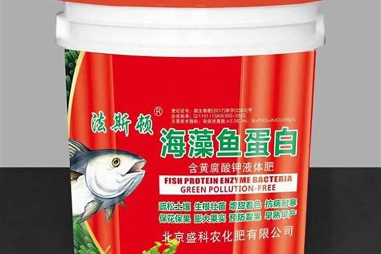 海藻鱼蛋白水溶肥后期能用在大姜上面吗