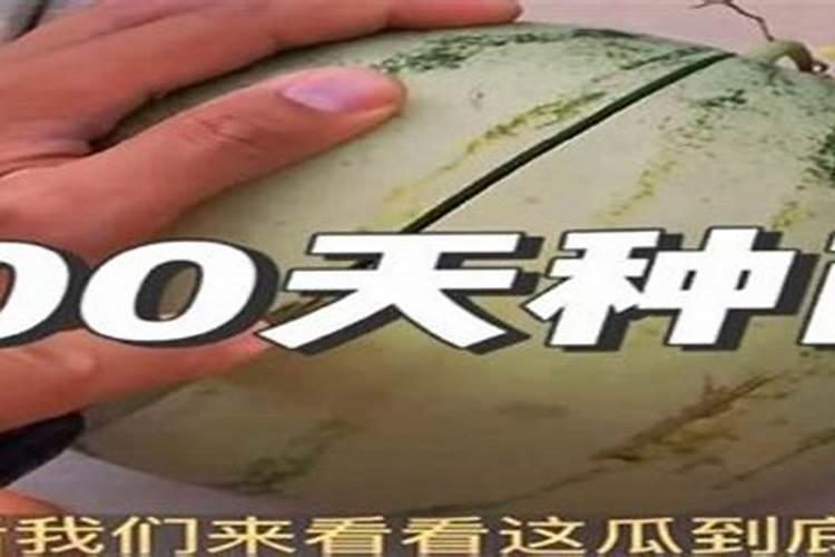 种西瓜怎样下底肥