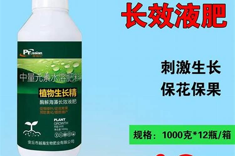 月季花肥用什么肥料好