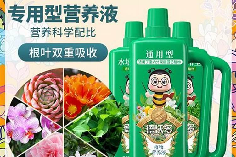 用兰花的质料可以扦插月季吗？