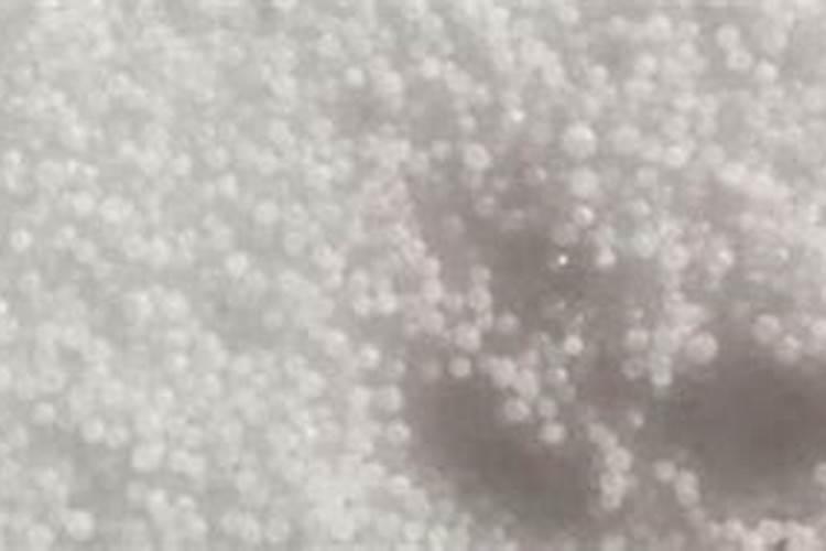 一百斤水三两水溶肥加三两尿素会不会烧根？