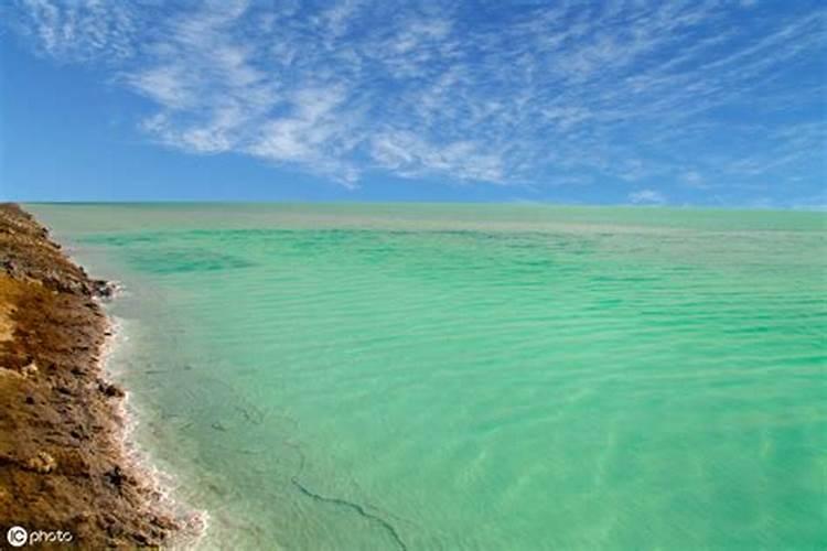 老师代森锰锌和和大量元素水溶肥能一起打叶面肥吗