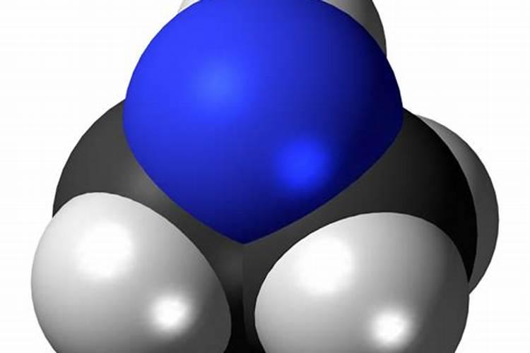 食用向日葵种植时间和方法 食用向日葵怎么种