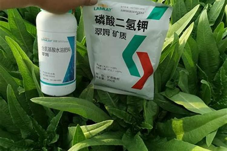 盆栽石斛兰花的叶面肥哪那种好 盆栽石斛兰花的叶面用什么肥料好百度知 ...