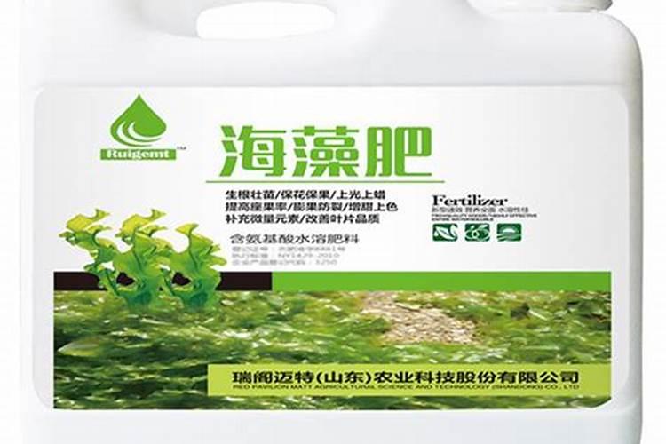 什么是海藻肥