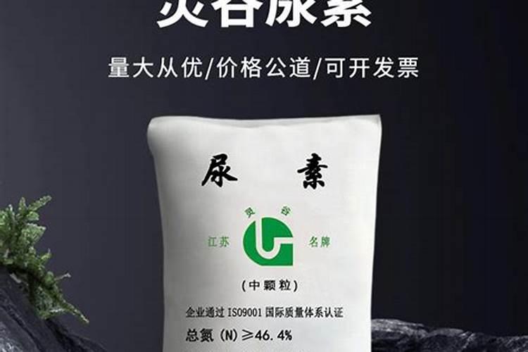 大棚丝瓜该如何种植？怎样才能提高产量？